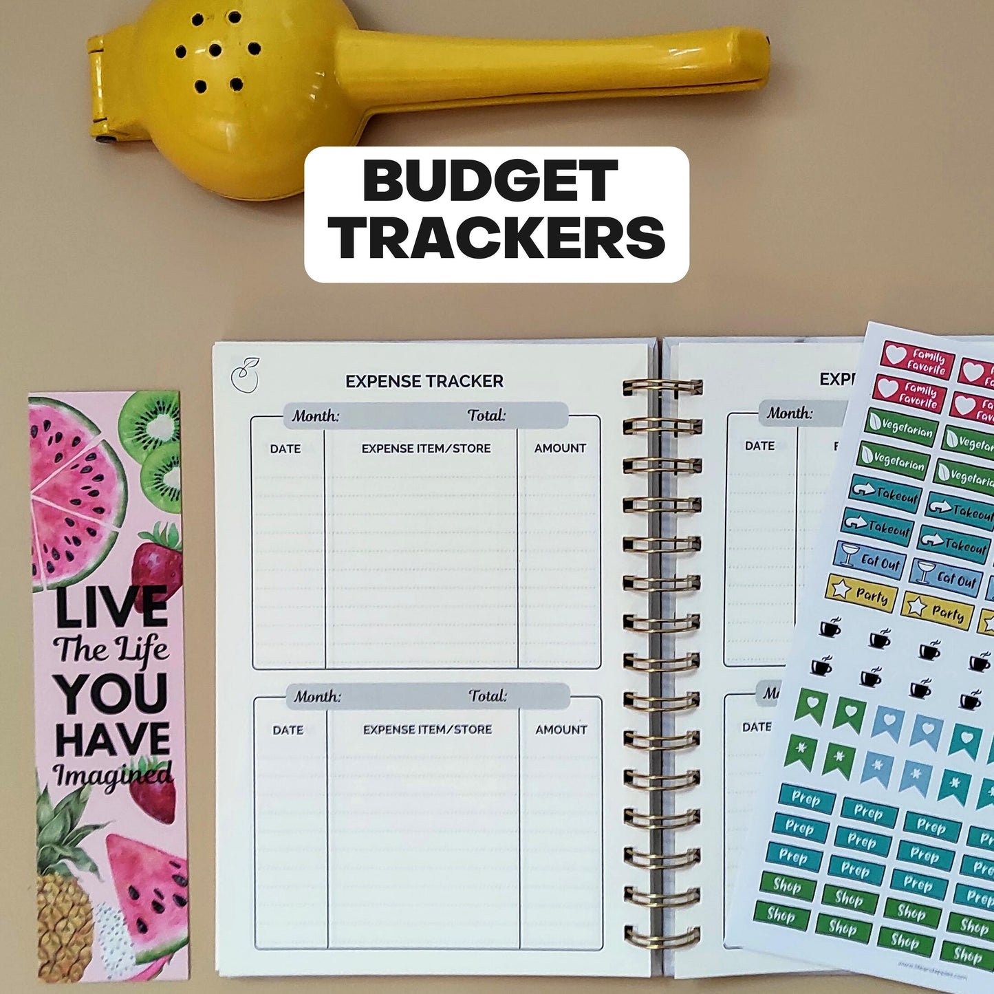 My Simple Planner Budget Tracker Addition - Family Fresh Meals